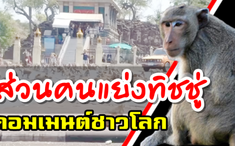 คอมเมนต์ชาวโลกเกี่ยวกับสงครามการแย่งชิงอาหารของลิงเมืองลพบุรี