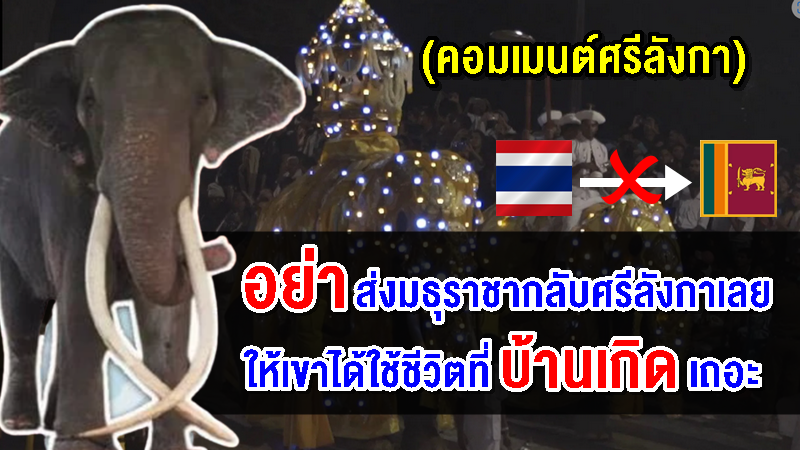 คอมเมนต์ชาวศรีลังกาขอบคุณประเทศไทยและวอนอย่าส่งพลายศักดิ์สุรินทร์กลับศรีลังกา