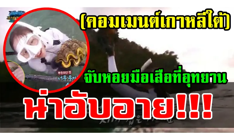 คอมเมนต์ชาวเกาหลีใต้หลังรายการดังจับหอยมือเสือมาปรุงเป็นอาหาร