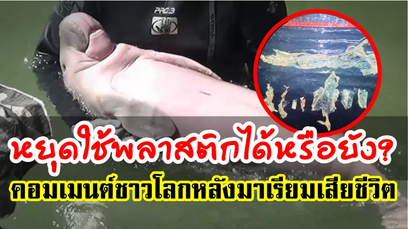 คอมเมนต์ชาวโลกหลังพะยูนมาเรียมเสียชีวิตจากการกินพลาสติกเข้าไป