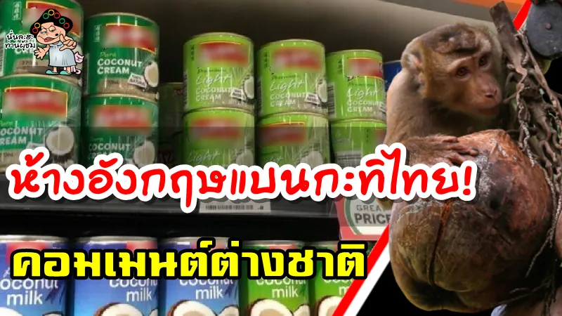 คอมเมนต์ชาวต่างชาติหลังห้างฯ อังกฤษ แบนสินค้ามะพร้าวไทยเพราะใช้ลิงเก็บมะพร้าว